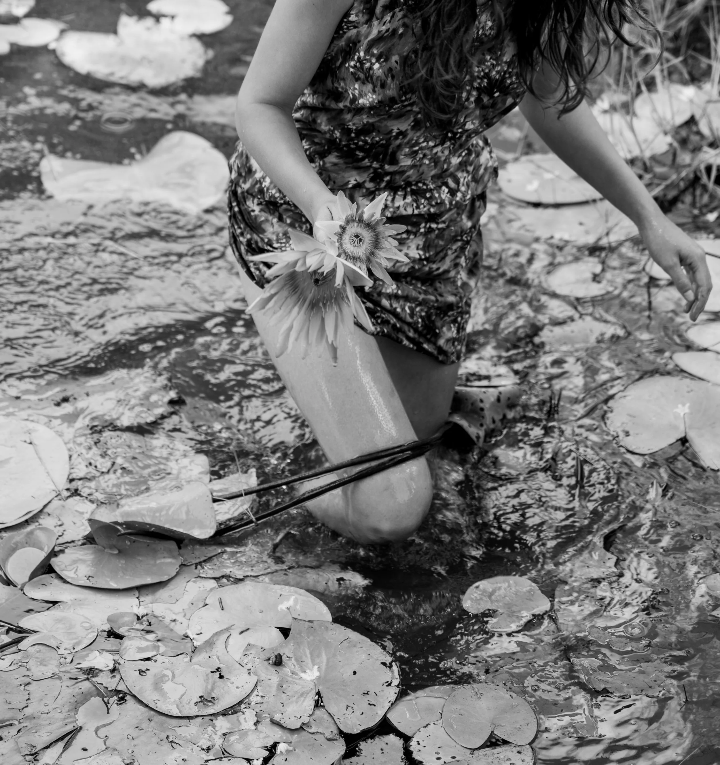 Person with long hair wading through a Lily pond holding a bouquet of Lillies surrounded by lily pads.