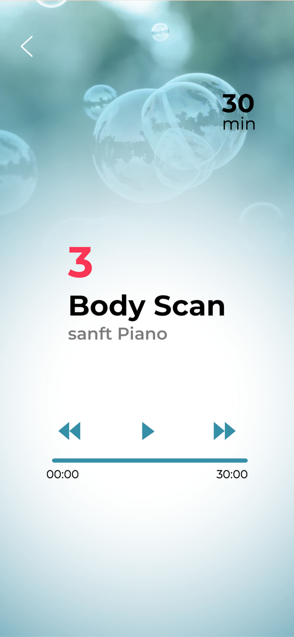 Screenshot Body Scan.PNG