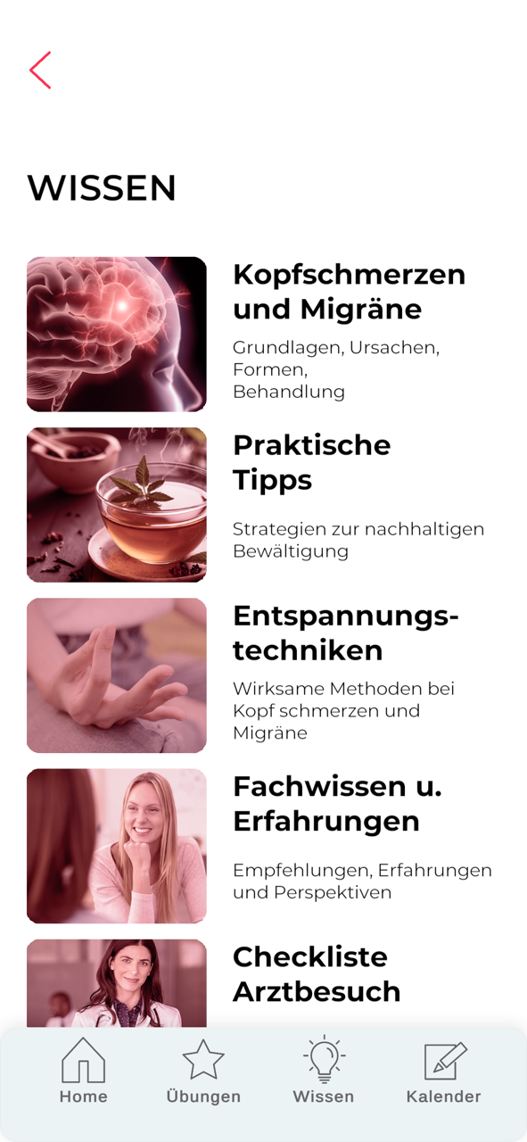 Screenshot Wissen.PNG