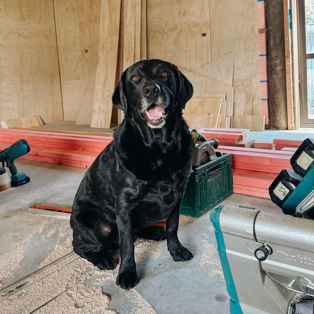 MEET THE TEAM

Our Uncertified Fury Foreman Hunter, black Lab x Golden Retriever, with a side of &ldquo;I&rsquo;ll be your best friend&rdquo; energy. He&rsquo;s a key part of the Legacy Builders team. He&rsquo;ll always make sure to greet you on arri