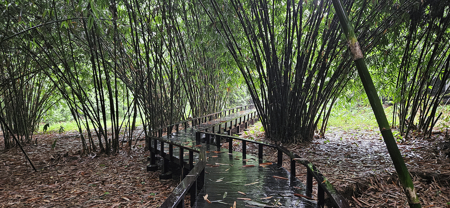 kintamani blog 6.gif