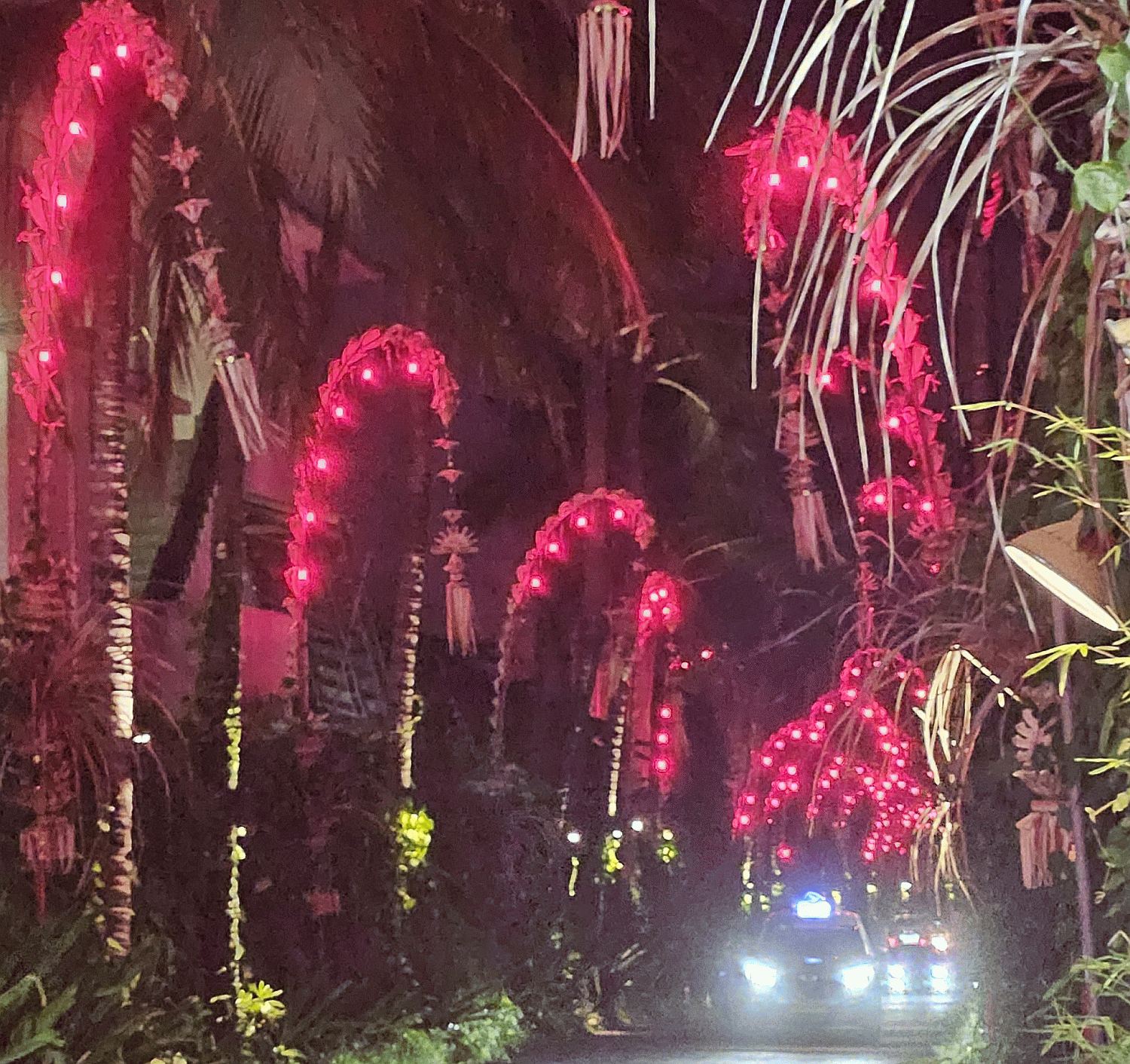 Penjor at night - Petitenget, Bali