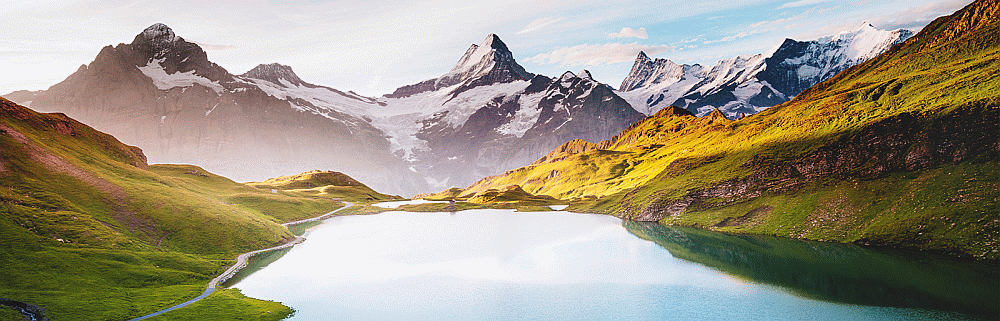 Typically Swiss Tours