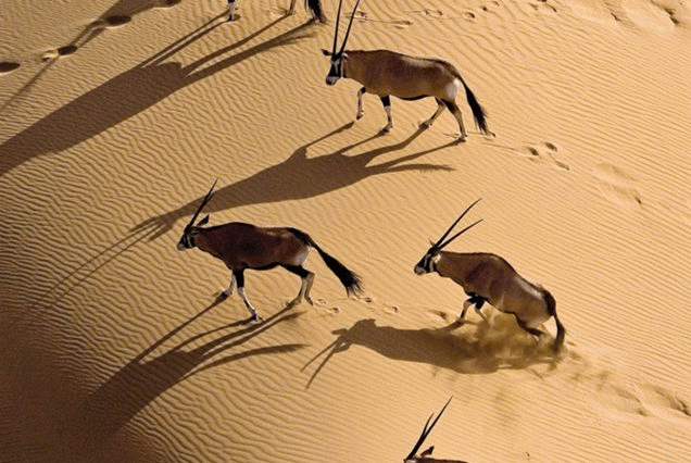 Motema Tours and Safaris, Windhoek, Namibia.