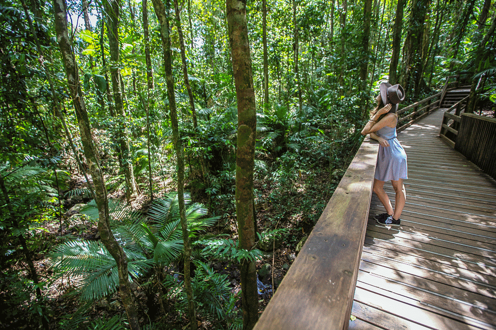 Billy Tea Safaris, Cairns, Australia