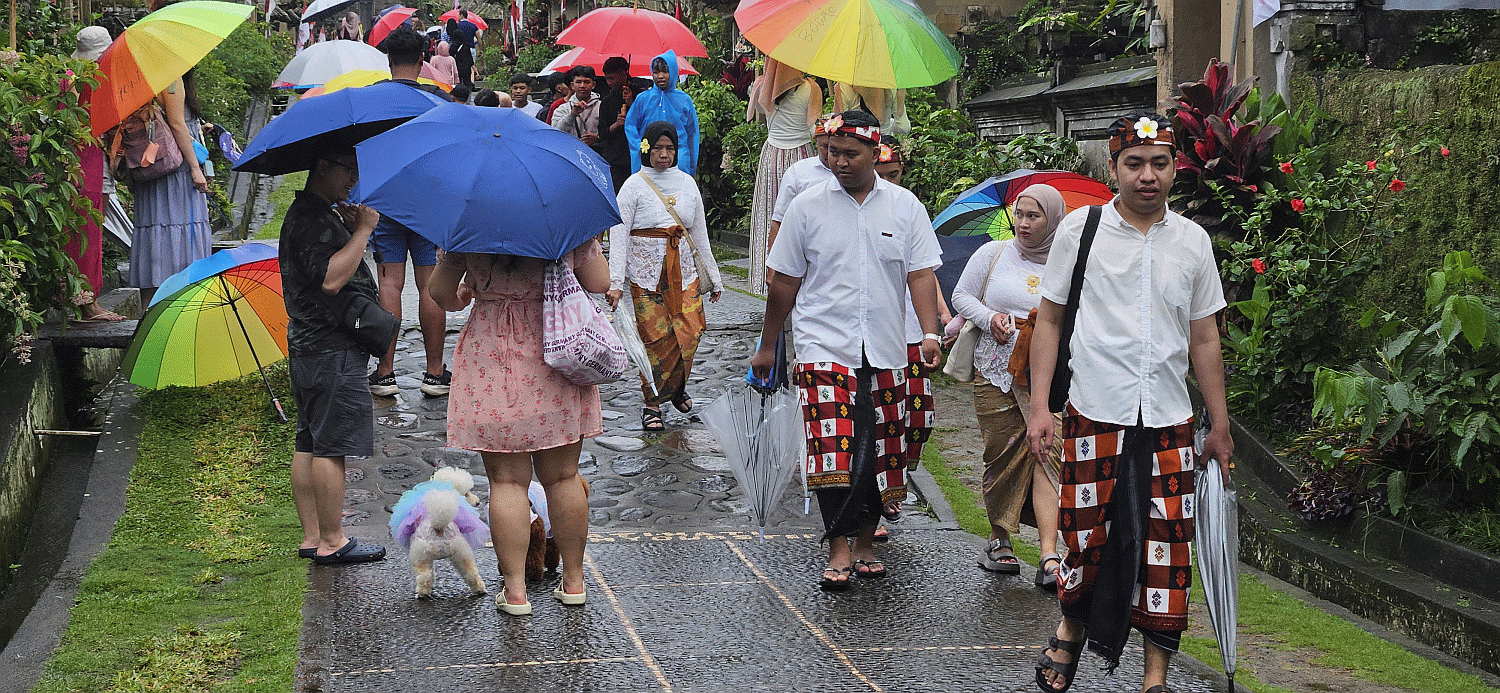 kintamani blog 5.gif