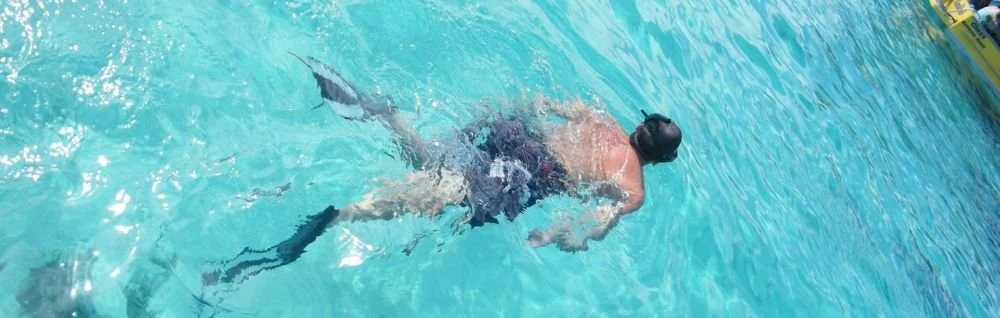 Captain Tamas Lagoon Cruizes - snorkelling in clear, shallow lagoon waters