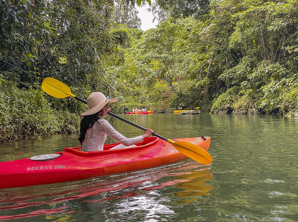 Vanuatu Ecotours vanuatuecotours.com.gif