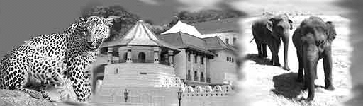 Sri Lanka Transfers, Kandy