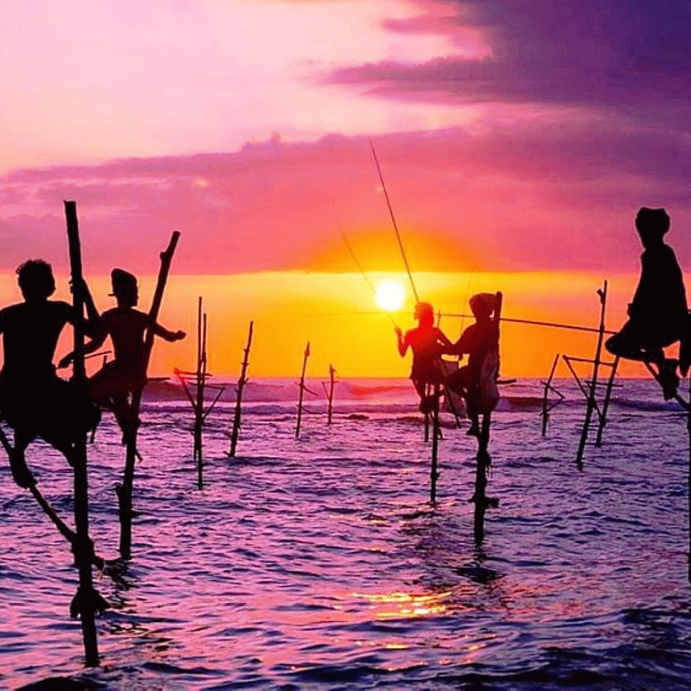 fishermen perched on wooden stilts during sunrise - Zeelanka - Sri Lanka Custom-made  experiences