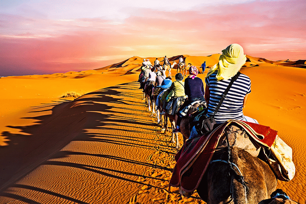 Fez Morocco Guide fezmoroccoguide.com.gif