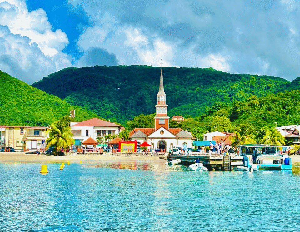 découverte des dauphins et tortues