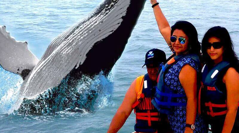 Mayte Tours, Tumbes, Peru