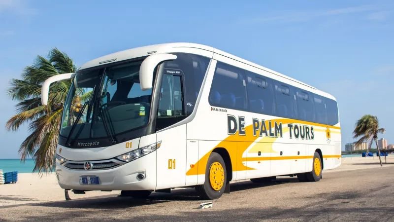 De Palm Tours Aruba - airport transfers and more