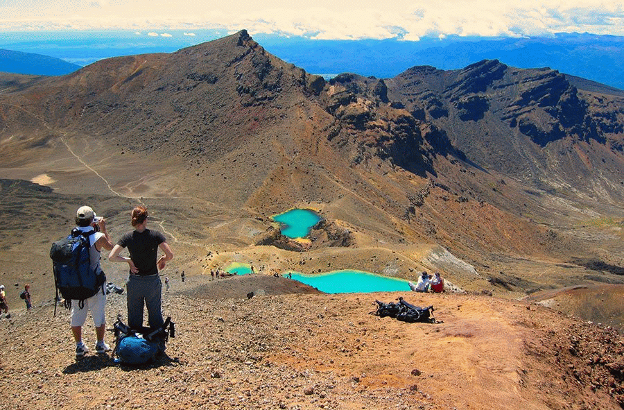 Tongariro Crossing Shuttles