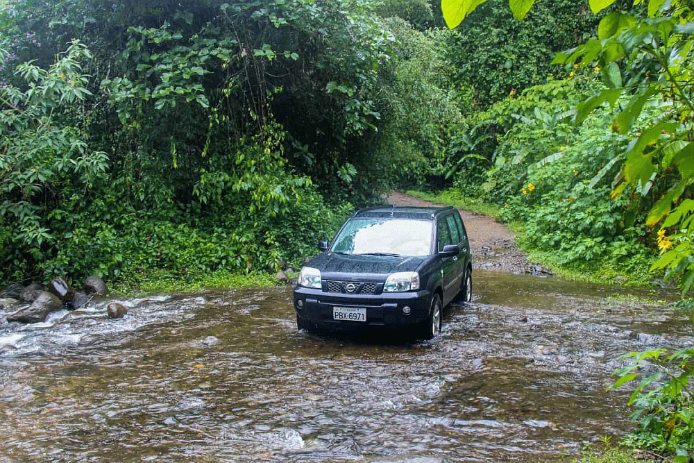 Toucan Express Transport Ecuador