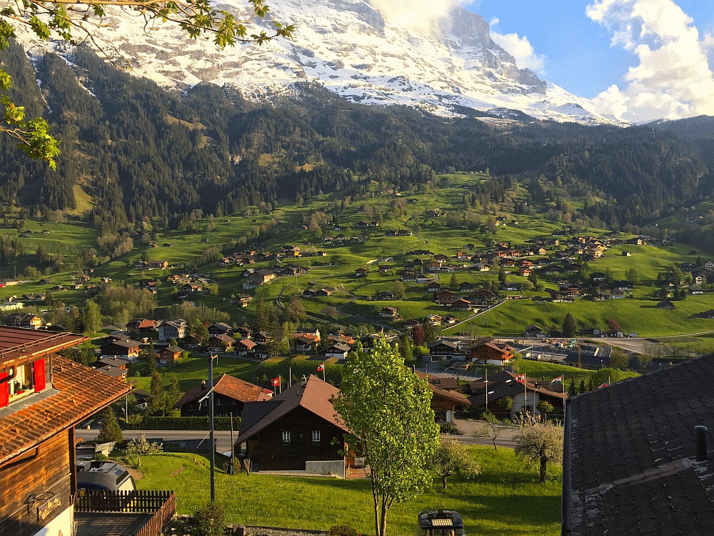 grindelwaldtours.com