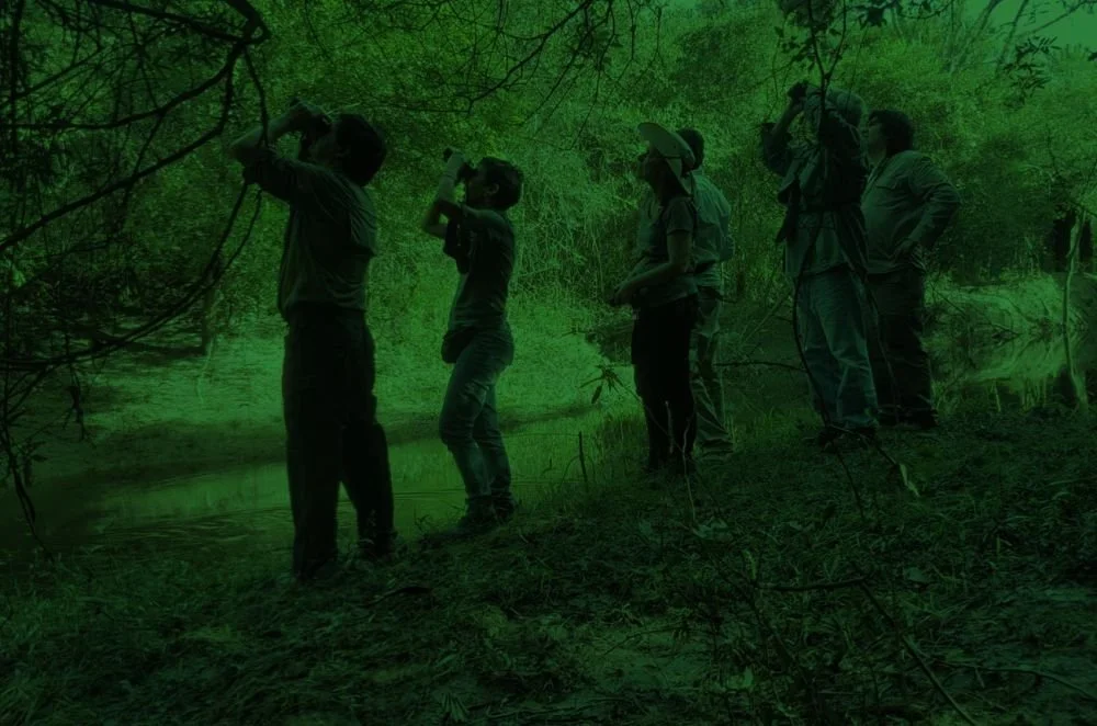 Paraguay Birding & Nature 