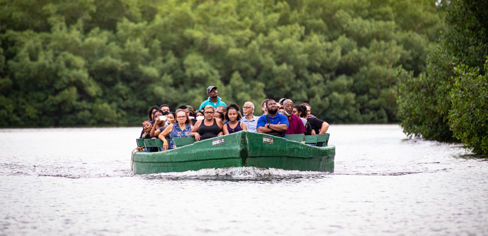Nanan's Caroni Bird Sanctuary Tours