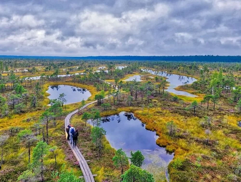 Baltic Nature Adventures