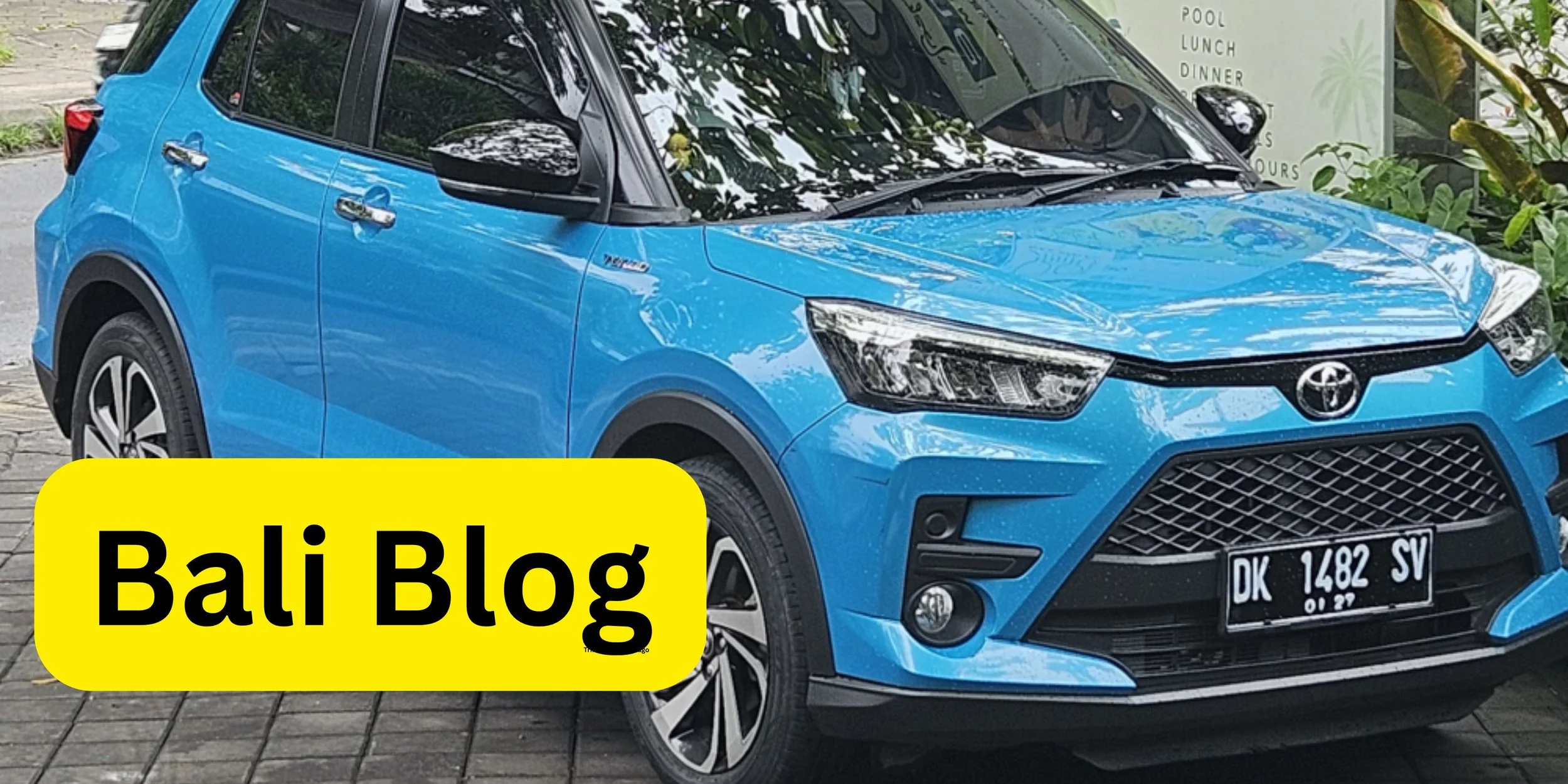 bali blog leo gemini putu nov 2025 b.jpg