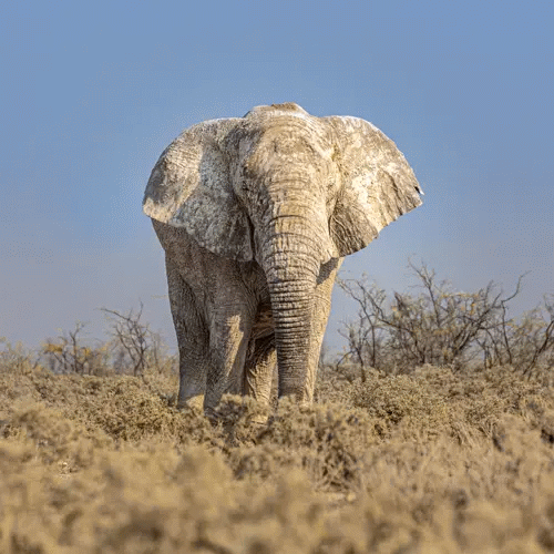 Okaume Travel Namibia