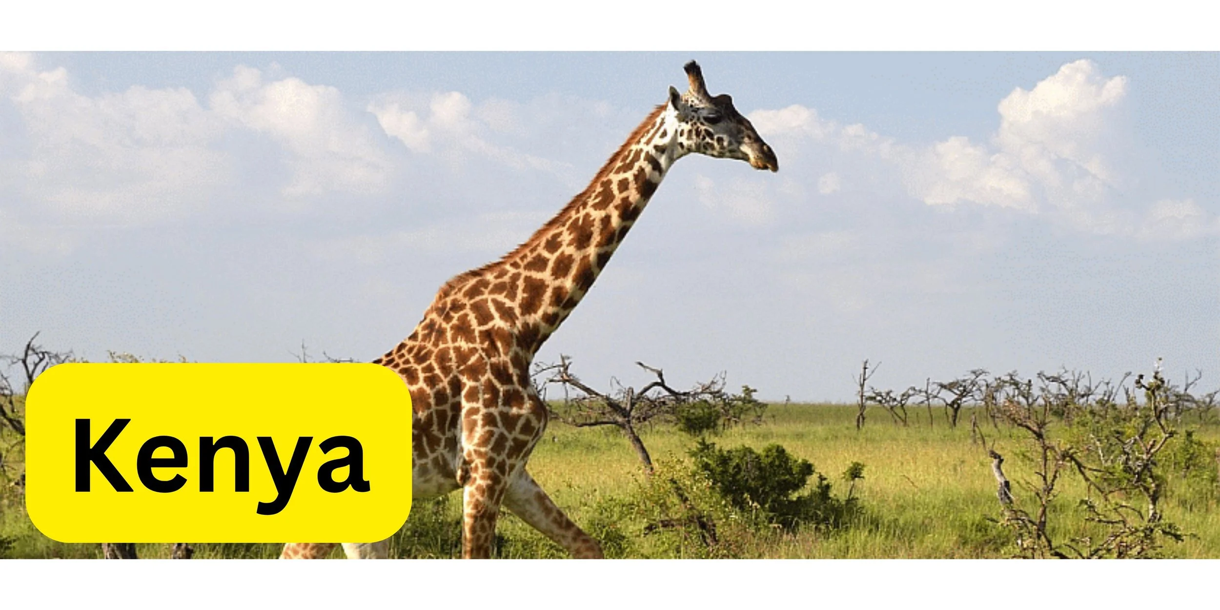 Kenya with text.jpg