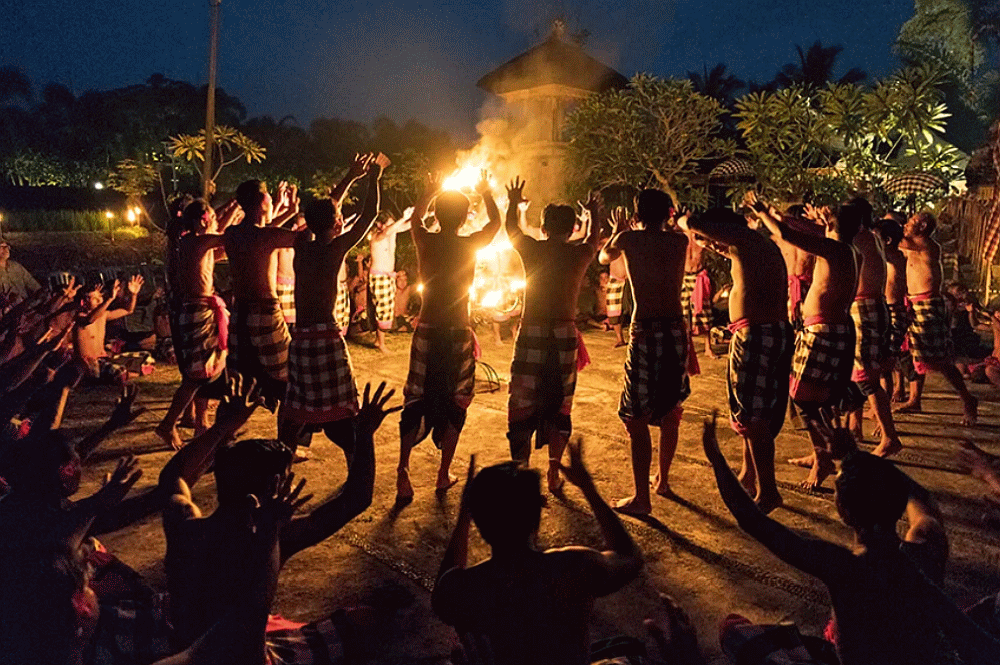 Discover Bali Tours - discoverbalitours.com.gif