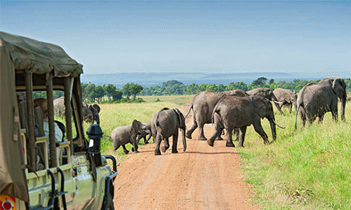 TransportSriLanka, curated Sri Lanka tours