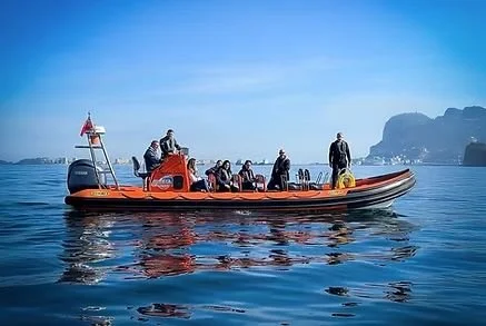 Dolphin Safari, Gibraltar