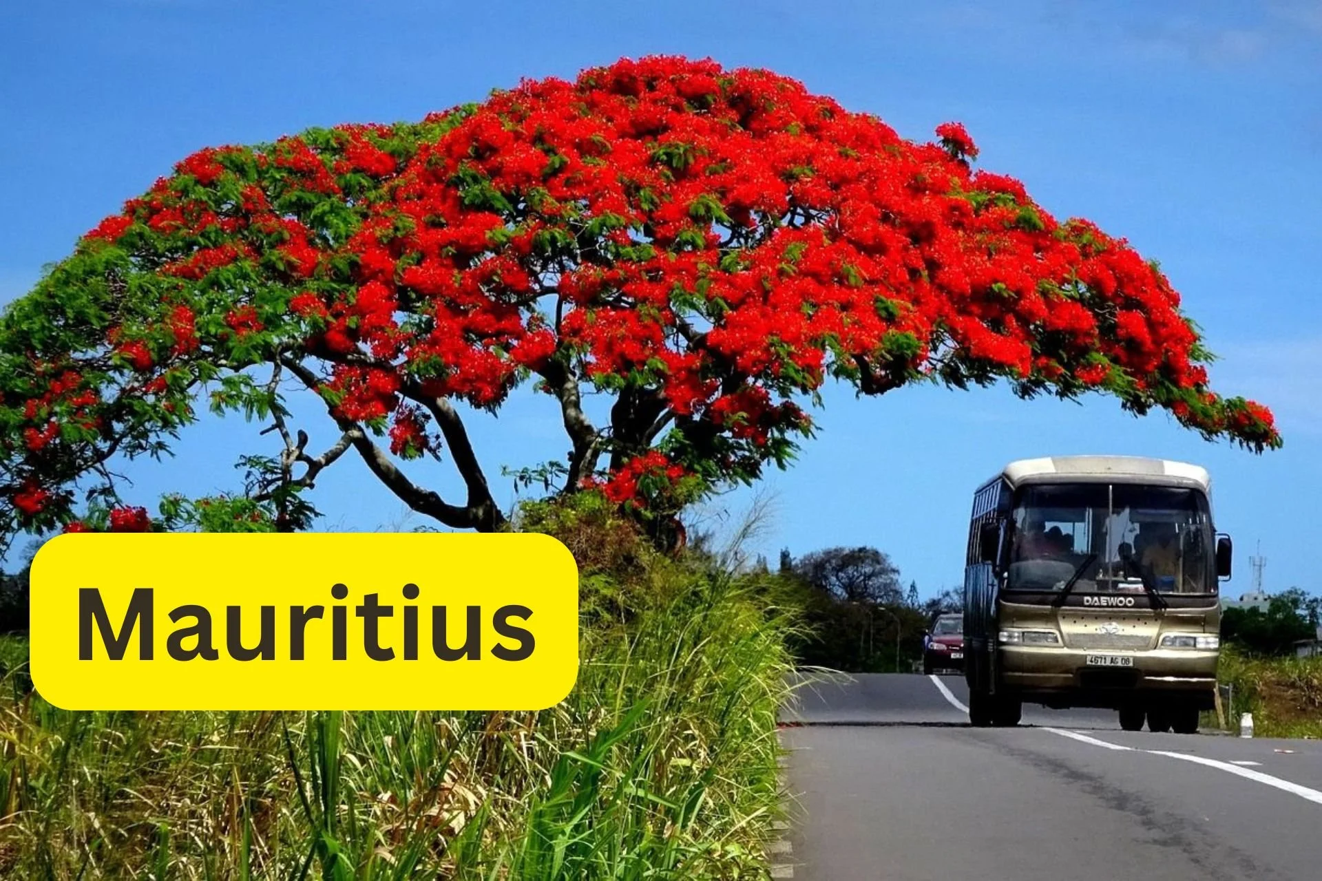 mauritius with text 1.jpg