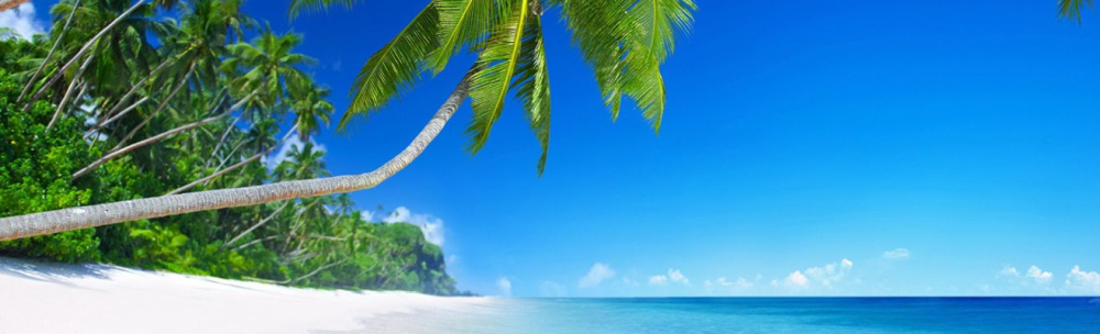 Mr. Kenneth Potts Taxi and Tours, Tobago