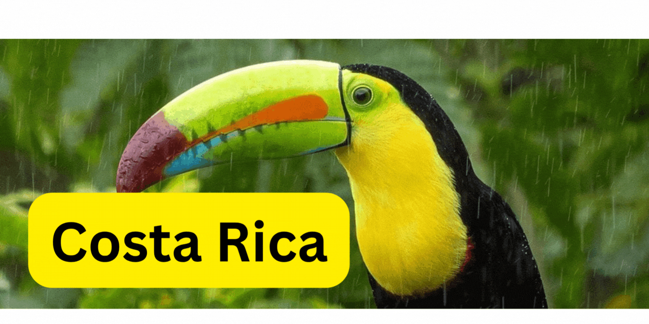 costa rica with text yellow.gif