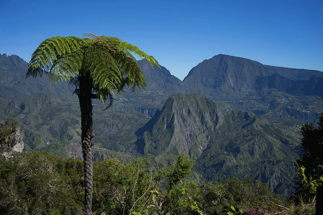 letourdelile-lareunion.com