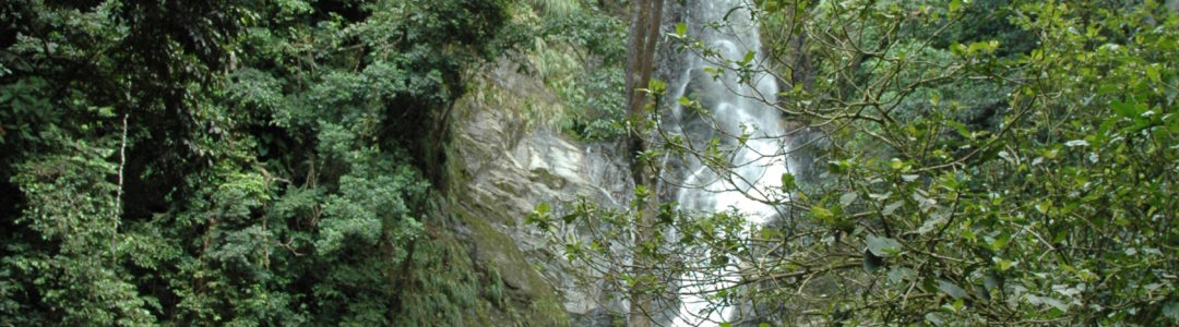 ‘Members Only’ Maxi Taxi Service - 24-hour airport shuttles, sightseeing trips, and customised transport across Trinidad