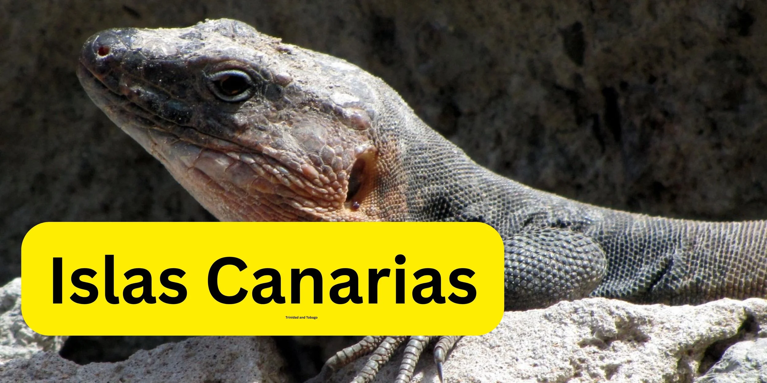 islas canarias with text.jpg