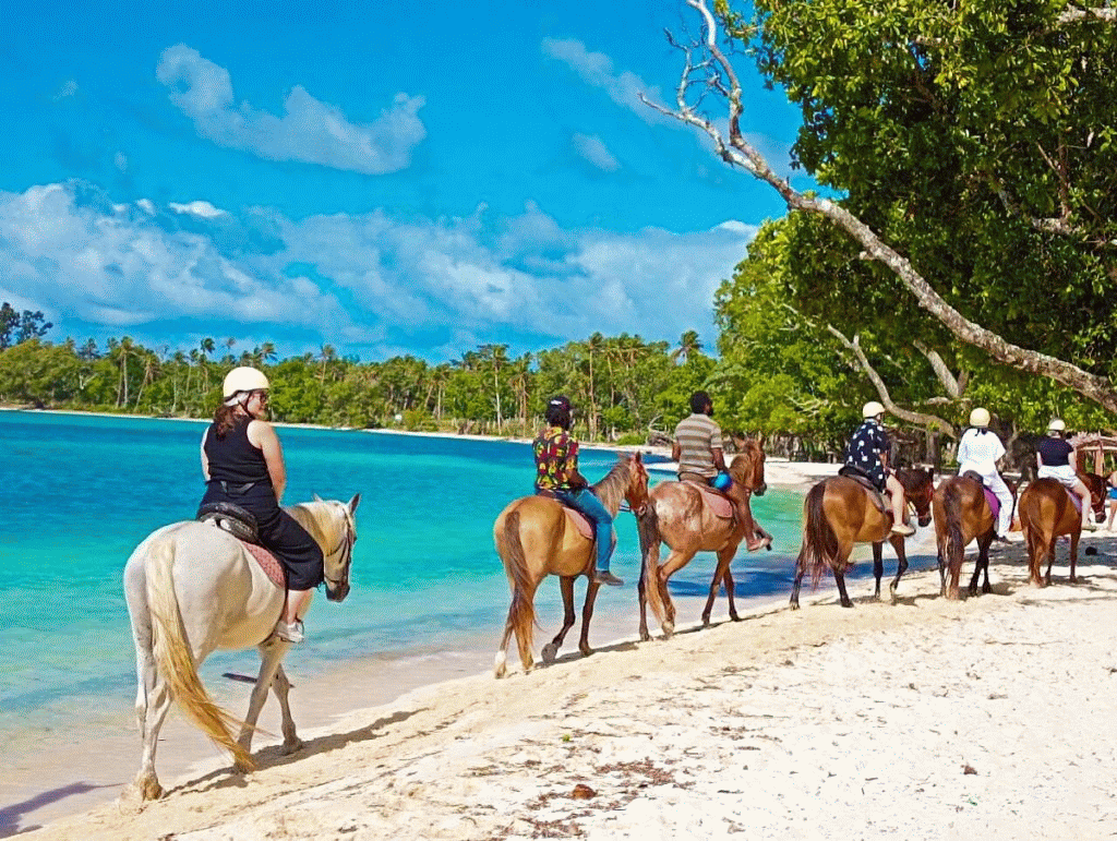 Fenua Tours and Transfers Vanuatu - fenuatoursvanuatu.com.gif