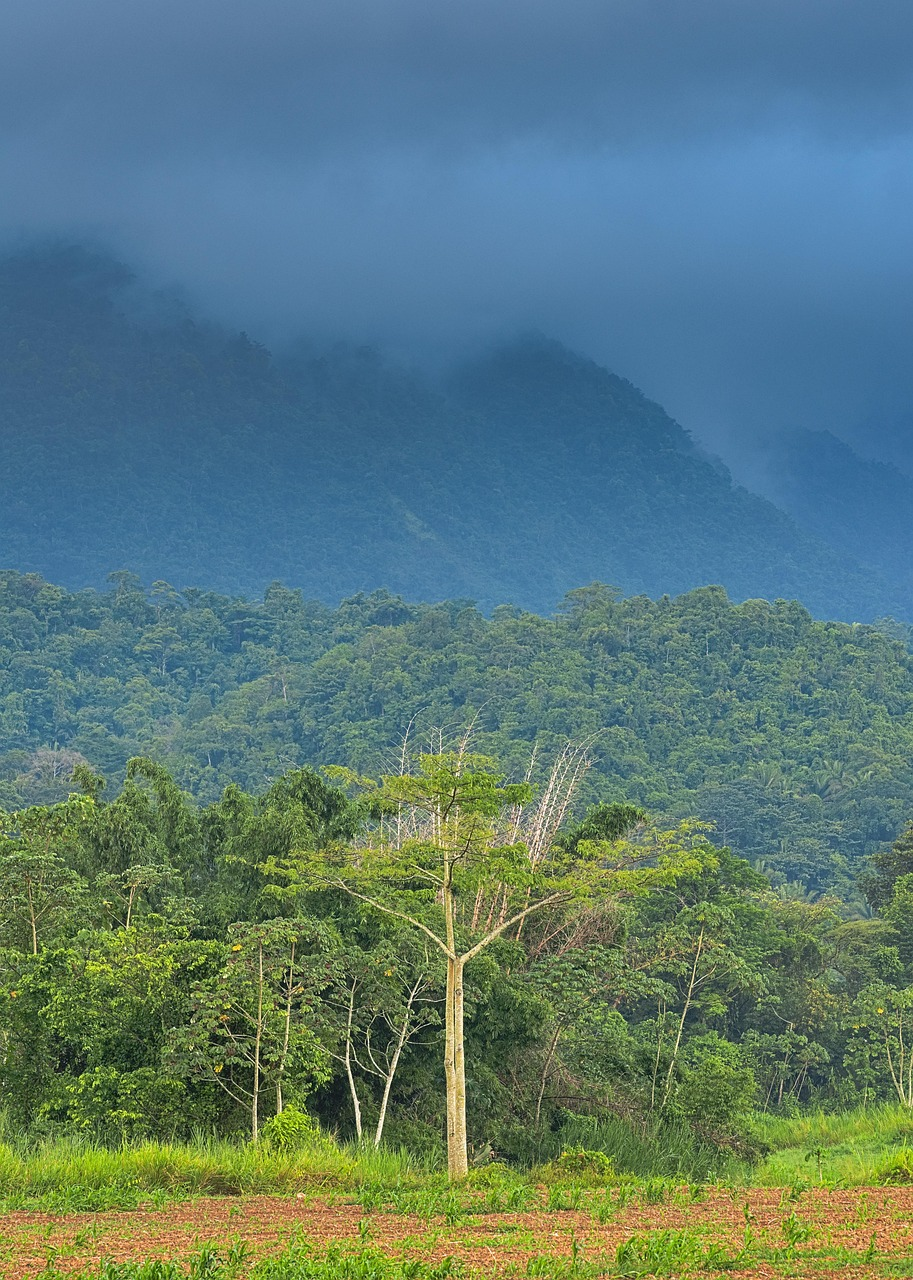 ShuttlesA2B - Belize