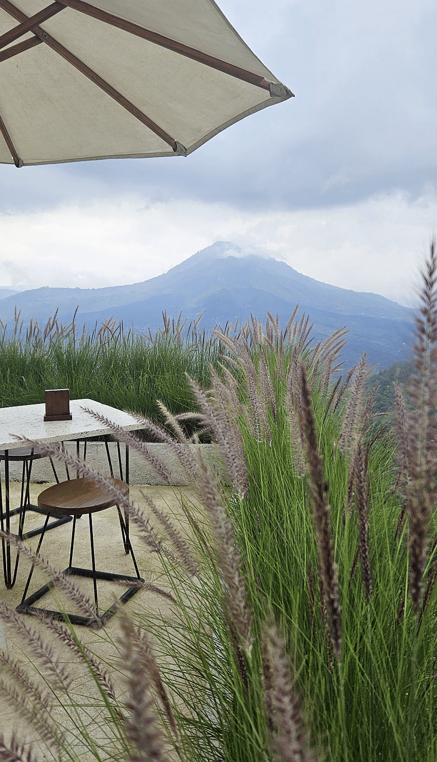 kintamani blog 21.gif