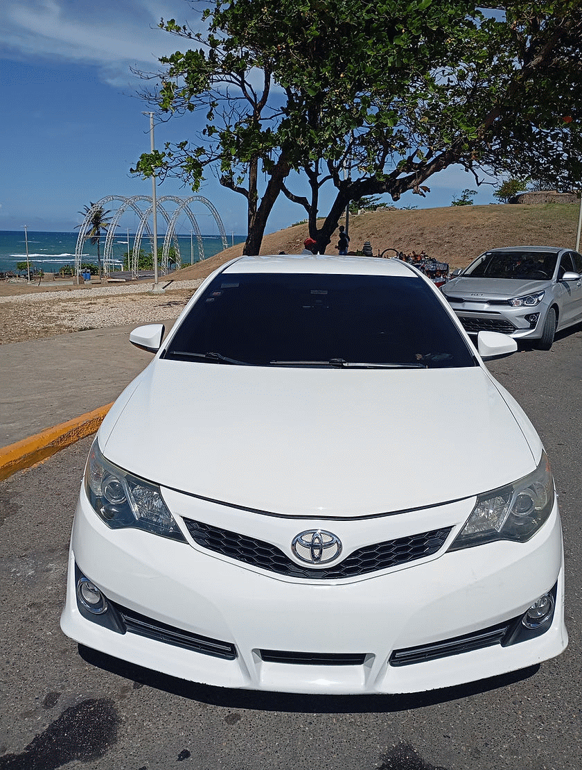 Carolina Tours & Transfer - Puerto Plata.gif