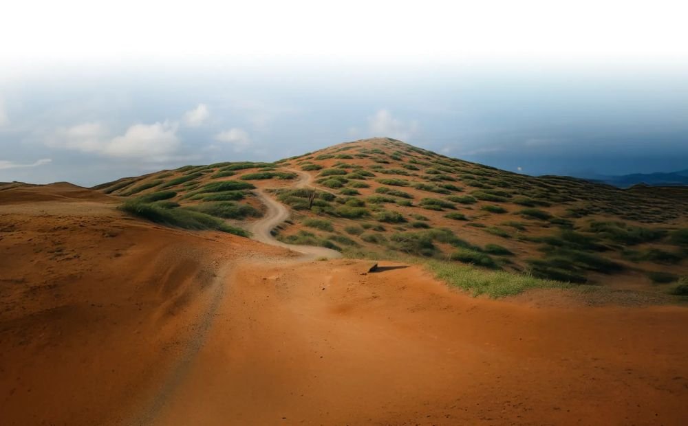 Fofoti Tours & Transfers Aruba