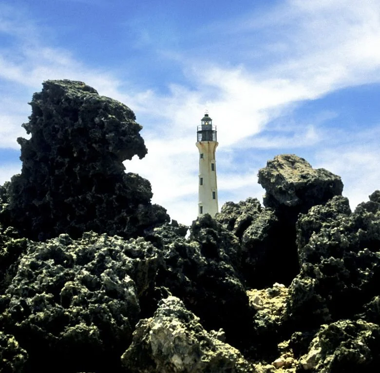 297 - Taxi Tours and Transfers