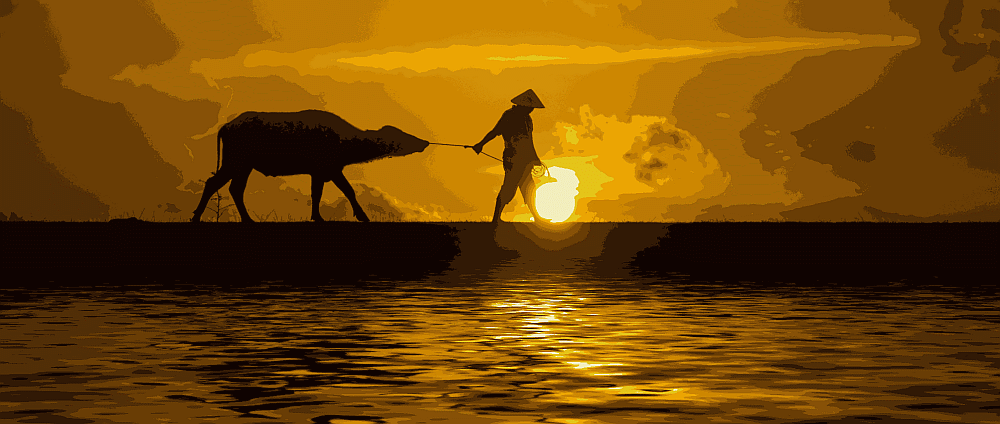 Kangaroo Cabs - Airport Transfers in
Sri Lanka