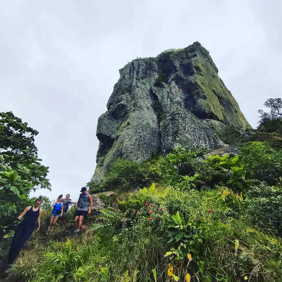 maungatours.com  Maunga Tours - Guided Mountain Hikes,  Rarotonga.gif