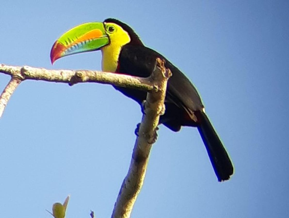 Conozca Panama Tours | Panama City 