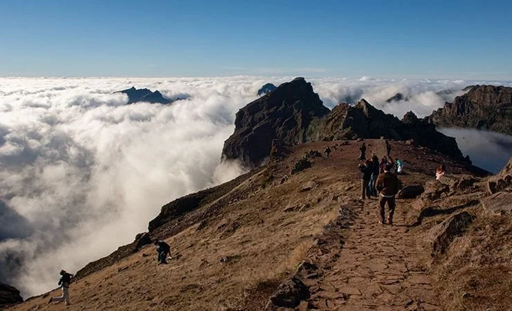 Madeira Taxi Tours