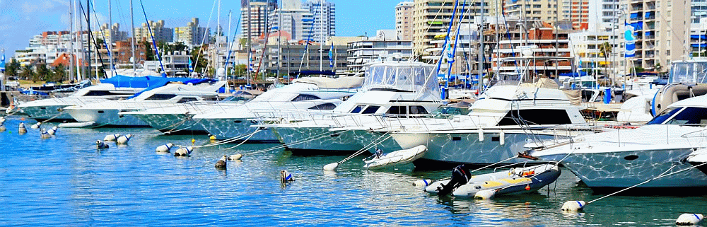 Punta del Este City Tour - Lptur