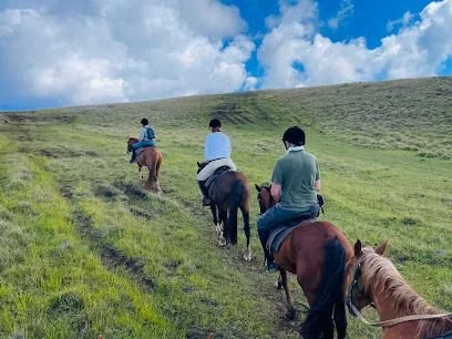 Cabalgatas Tata Tuki - horse riding