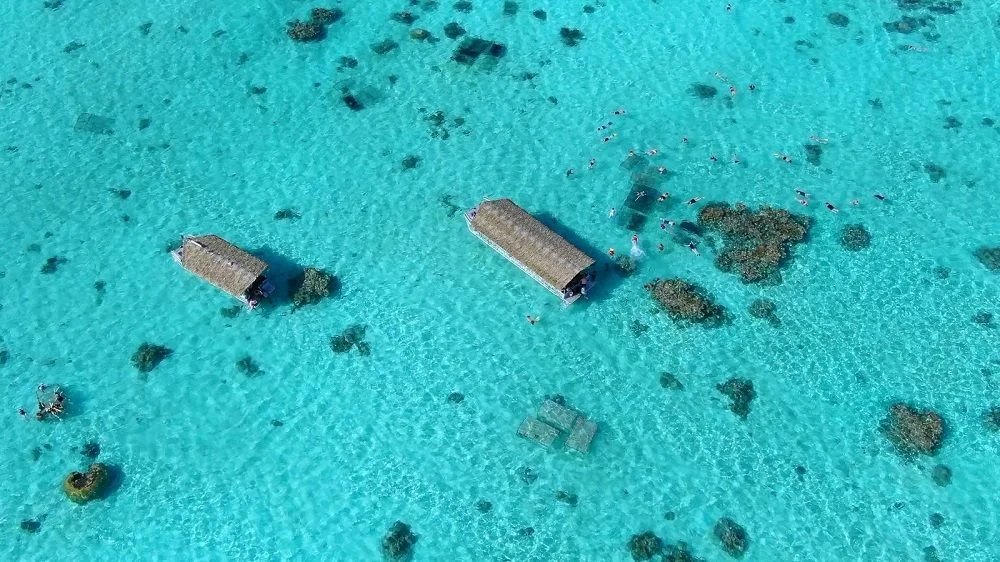 Koka Lagoon Cruises - Glass-bottom boat experience & snorkelling stops on coral gardens