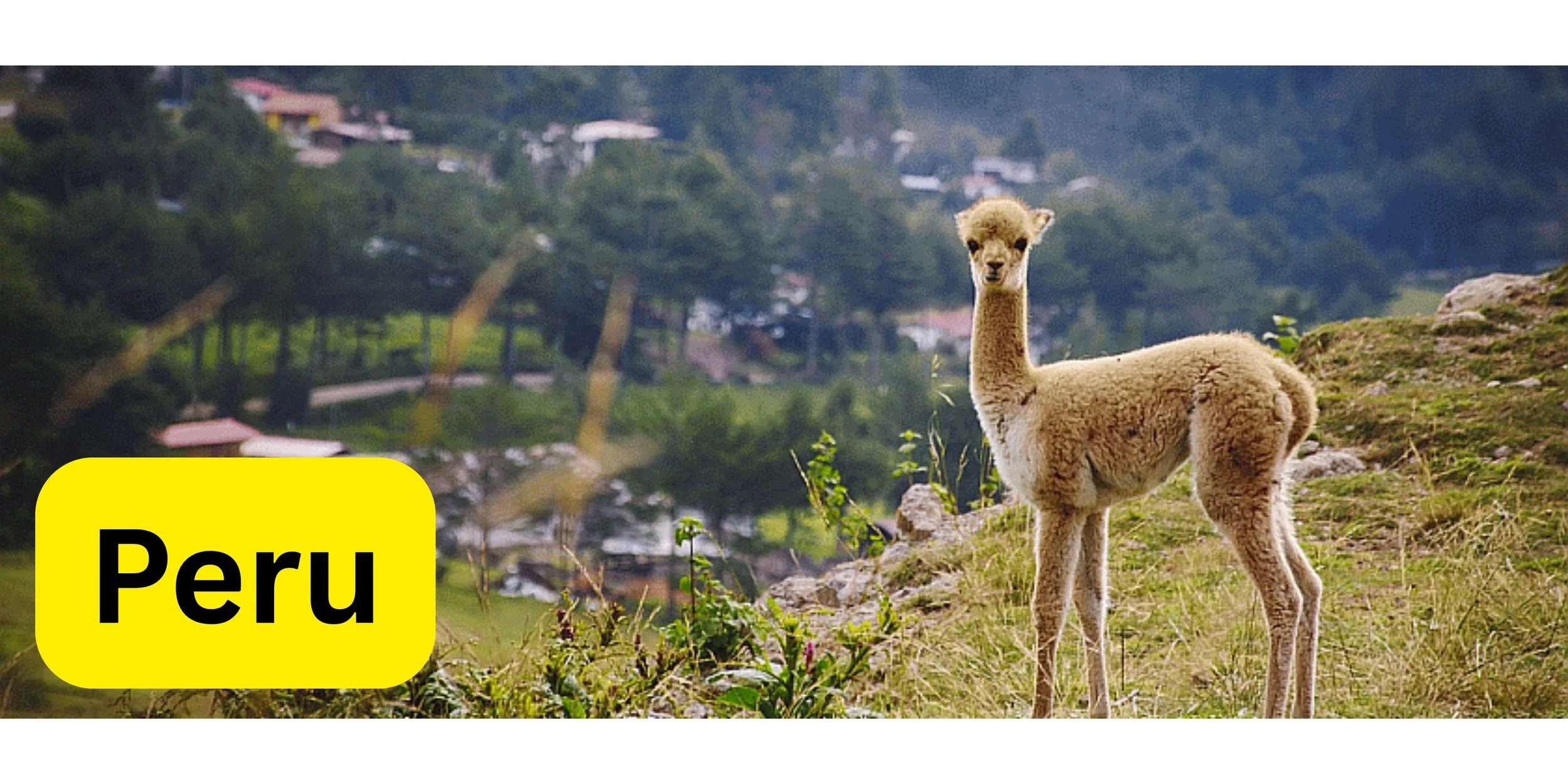 Peru with text.jpg